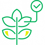 Carbon services icon