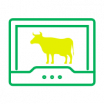 Research & development icon